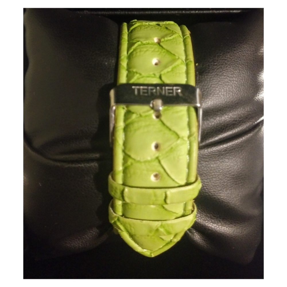 Terner Watch - image 3